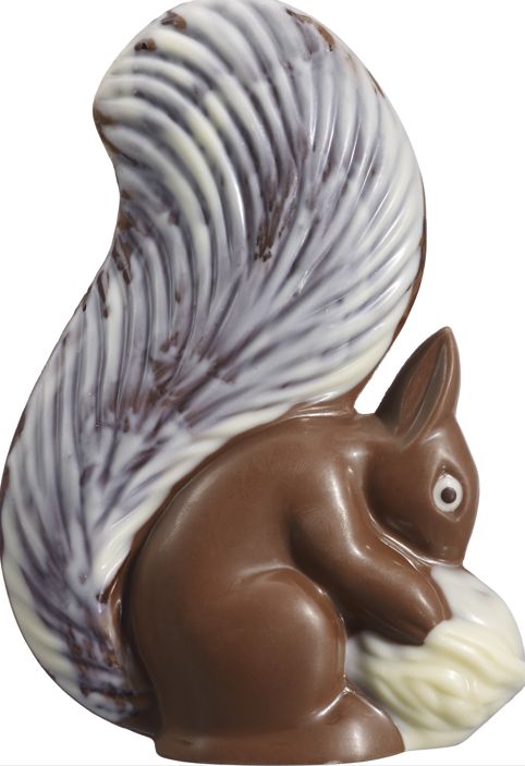 Moulage écureuil De Marlieu