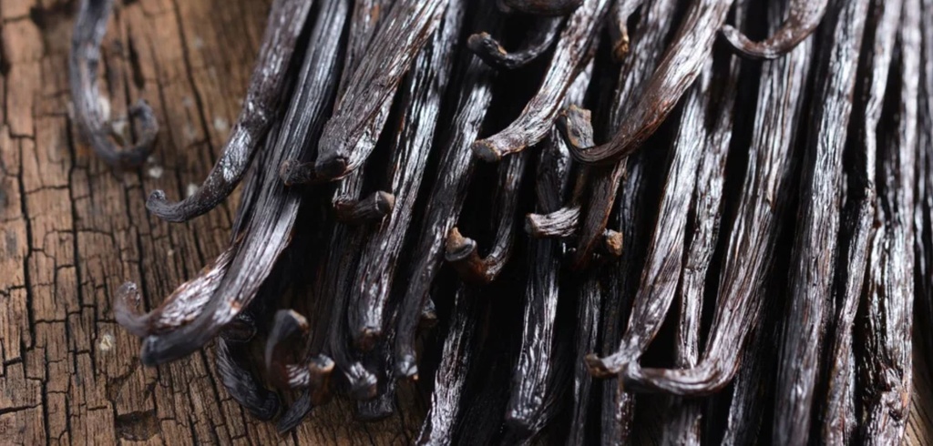 VANILLE BOURBON - 10 GOUSSES